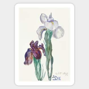 Irises by Sientje Mesdag-van Houten Sticker